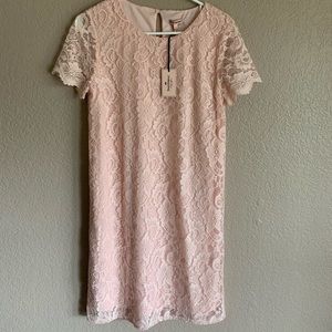 NWT Lace Pink Shift Dress!